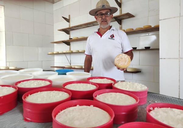 Produtor atendido pelo projeto mostra a produção de queijos artesanais em Caeté/MG- 2024